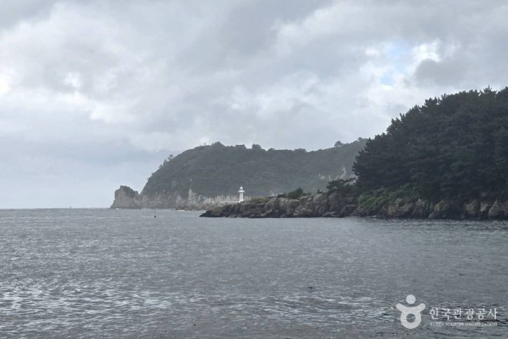 서귀포해안 여행 추천 - 메고지고