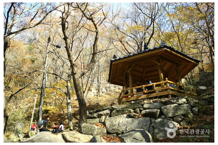 팔공산국립공원(군위군) 여행 추천 - 메고지고