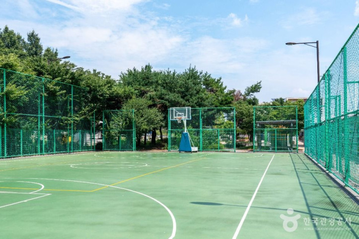 포승레포츠공원 여행 추천 - 메고지고