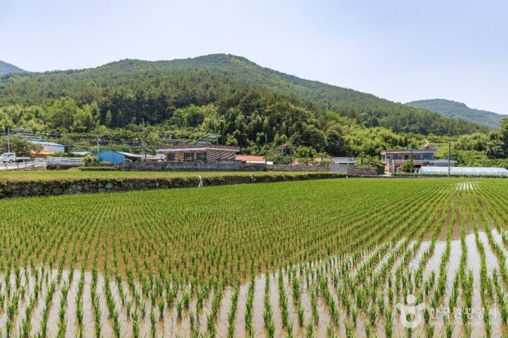 사천 바리안마을 여행 추천 - 메고지고