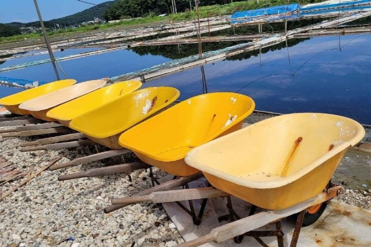 동주염전 여행 추천 - 메고지고