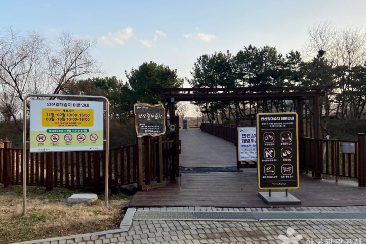 안산갈대습지공원 여행 추천 - 메고지고