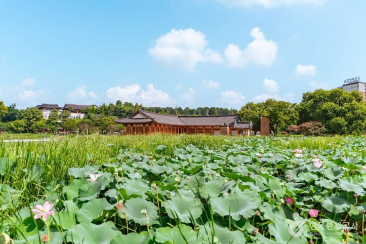덕진공원 여행 추천 - 메고지고