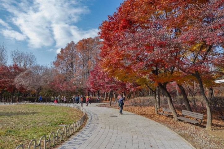 [서울둘레길 9코스] 대모·구룡산코스 여행 추천 - 메고지고