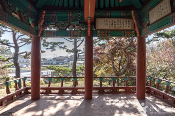 여주 팜스테이마을 여행 추천 - 메고지고