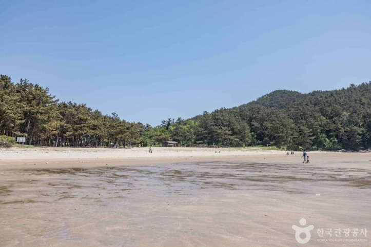 갈음이해수욕장 여행 추천 - 메고지고