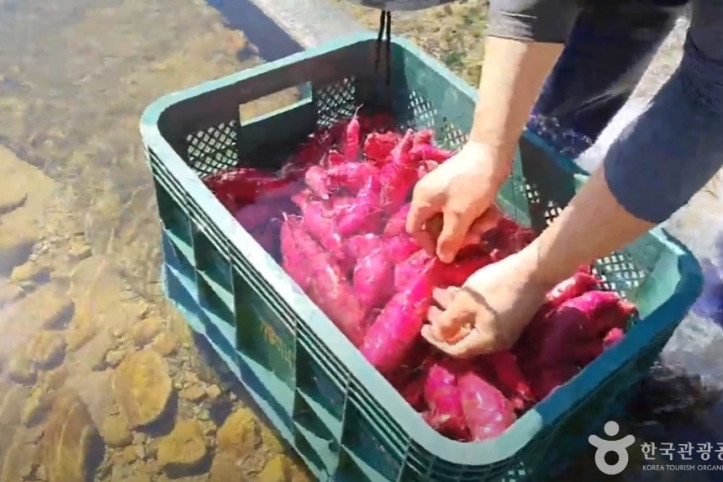 큰삼촌농촌체험 여행 추천 - 메고지고