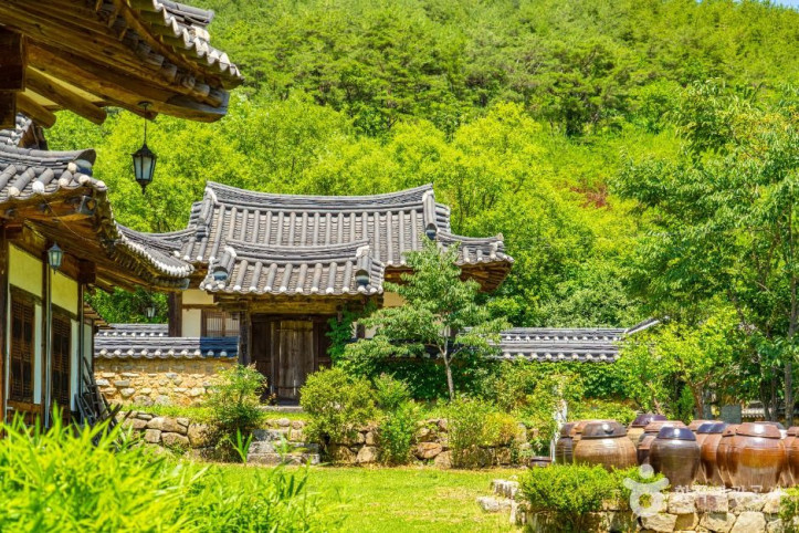 농암종택 여행 추천 - 메고지고