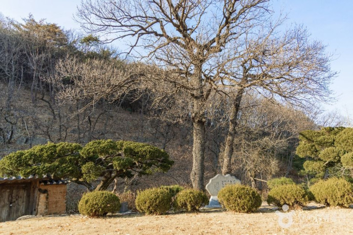 포항 분옥정 여행 추천 - 메고지고