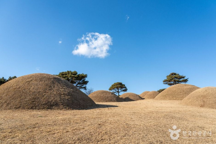 합천 옥전 고분군 여행 추천 - 메고지고