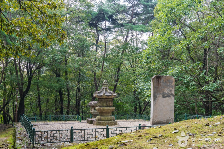청룡사(충주) 여행 추천 - 메고지고