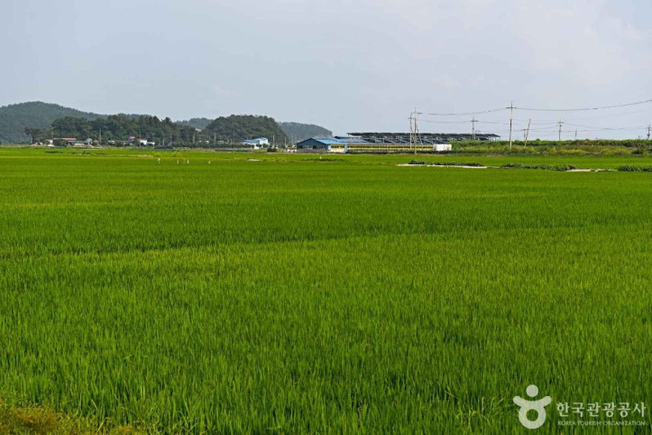 고마리마을 여행 추천 - 메고지고