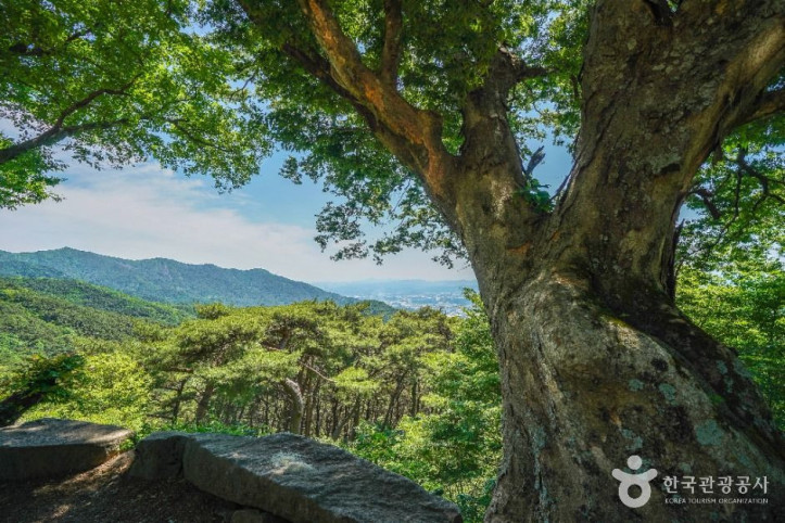 도성암(달성) 여행 추천 - 메고지고