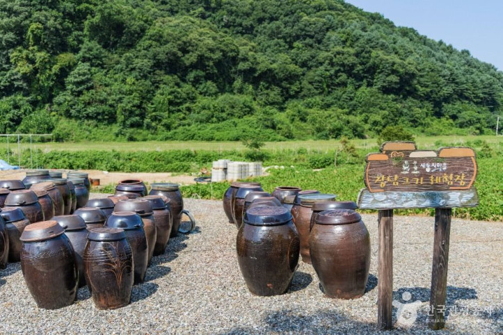 새둥지마을 여행 추천 - 메고지고