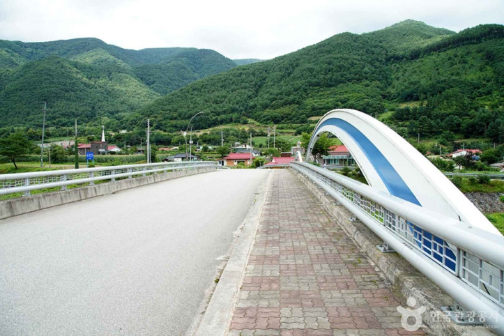 정선 가리왕산마을 여행 추천 - 메고지고