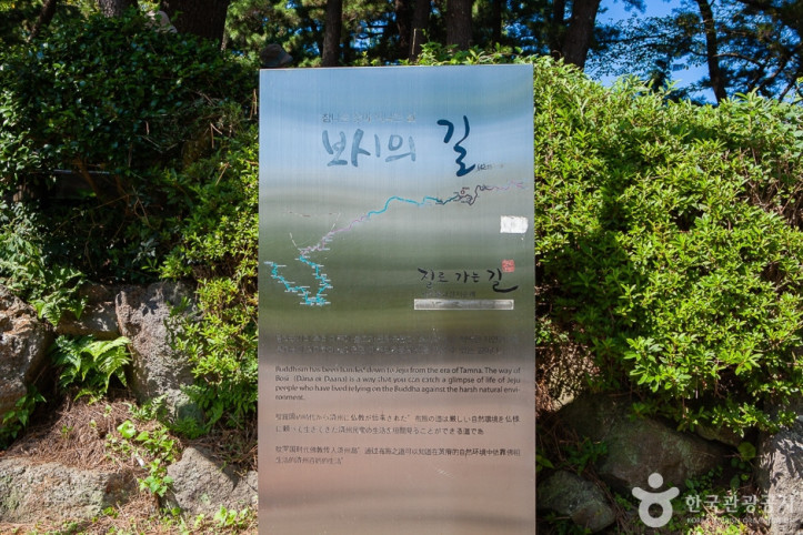 사라봉공원 여행 추천 - 메고지고