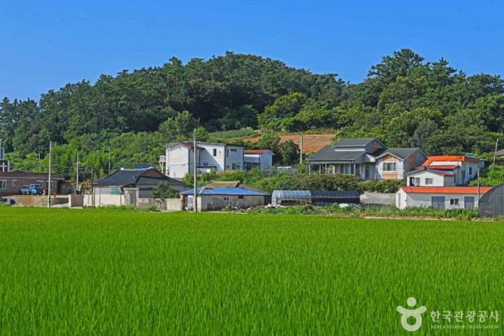 정도마을 여행 추천 - 메고지고