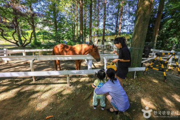 광주 산두른마을 여행 추천 - 메고지고