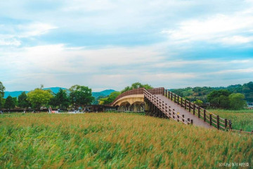 순천만 용산전망대 (S자 물길) 여행 추천 - 메고지고