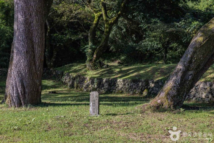 산천단곰솔 여행 추천 - 메고지고