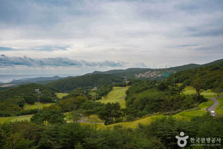 경주 마우나오션 리조트 여행 추천 - 메고지고