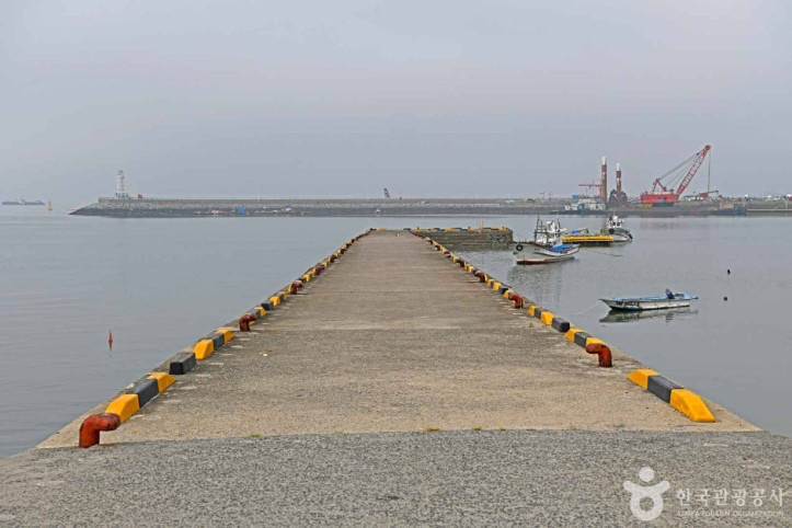 남당항어촌마을 여행 추천 - 메고지고