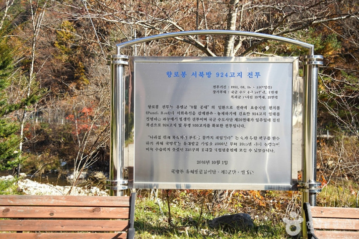 국립 용대자연휴양림 여행 추천 - 메고지고