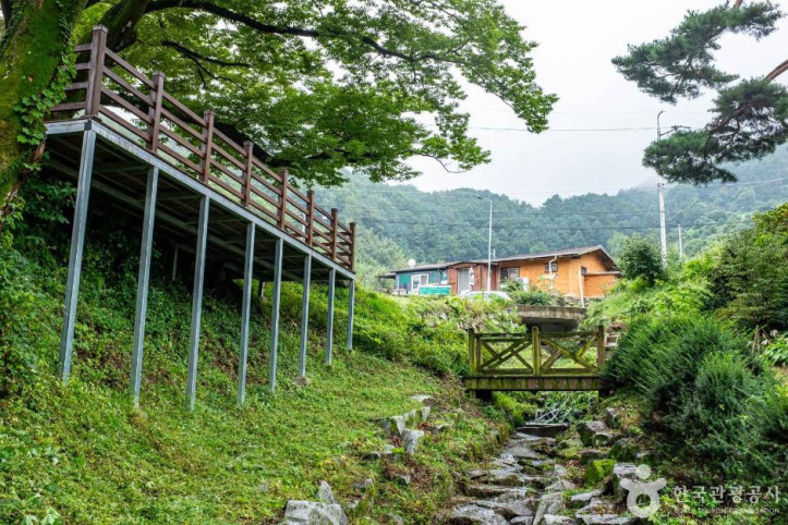 영주 솔향기마을 여행 추천 - 메고지고