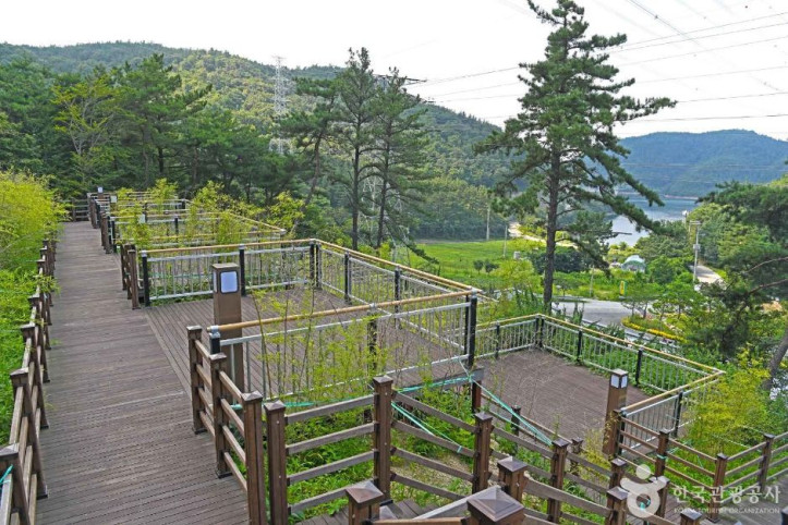 선암 자연휴양림 여행 추천 - 메고지고