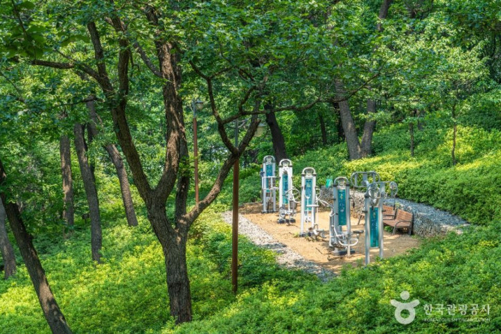 고강선사유적공원 여행 추천 - 메고지고