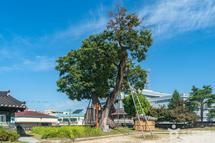 충주 관아공원 여행 추천 - 메고지고