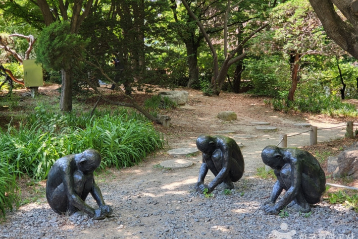 덕수궁 돌담길 여행 추천 - 메고지고
