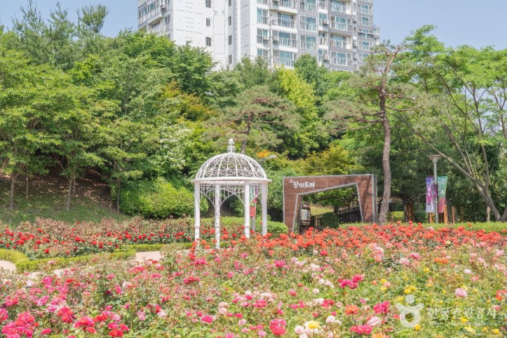 오산 고인돌공원 여행 추천 - 메고지고
