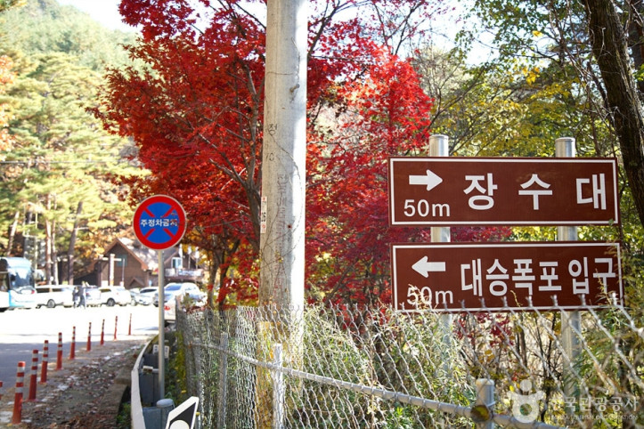 장수대 여행 추천 - 메고지고
