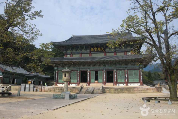 보은 법주사 [유네스코 세계유산] 여행 추천 - 메고지고