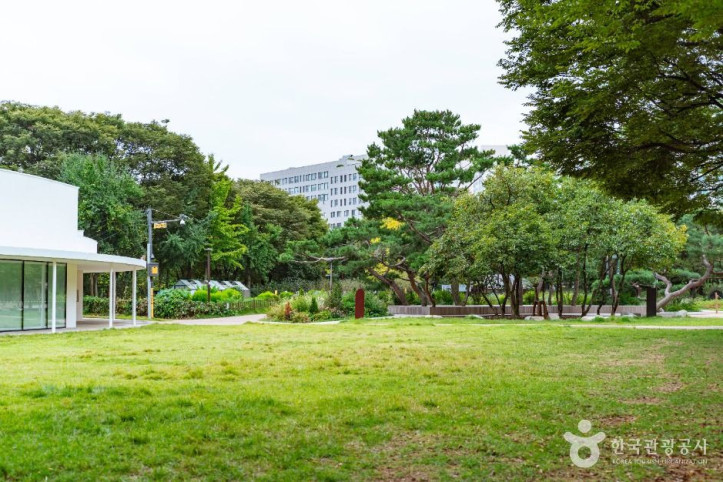 신트리공원(서울) 여행 추천 - 메고지고