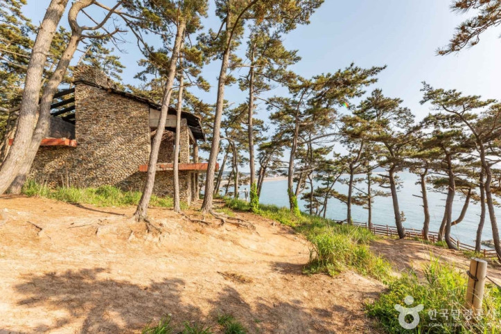뭍닭섬 산책로 여행 추천 - 메고지고