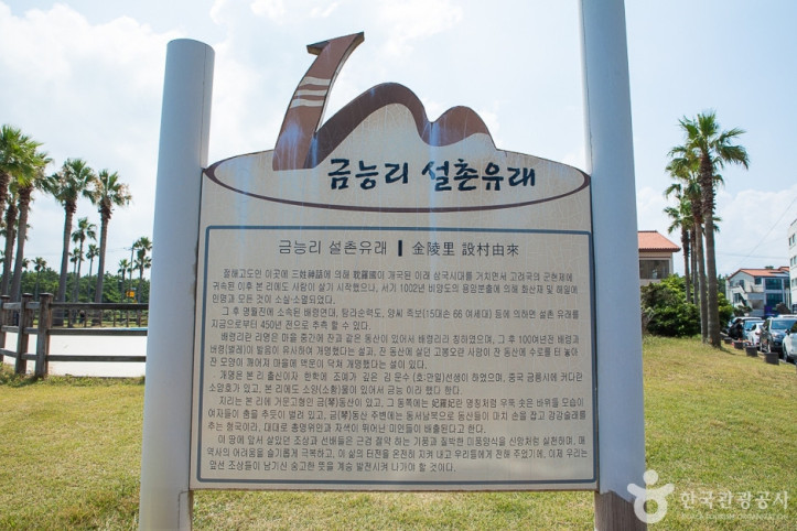 금능돌담해변길 여행 추천 - 메고지고