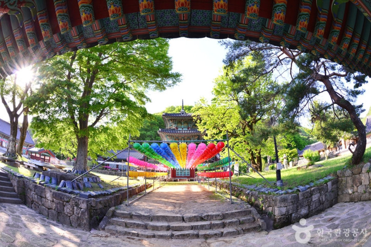 쌍봉사(화순) 여행 추천 - 메고지고
