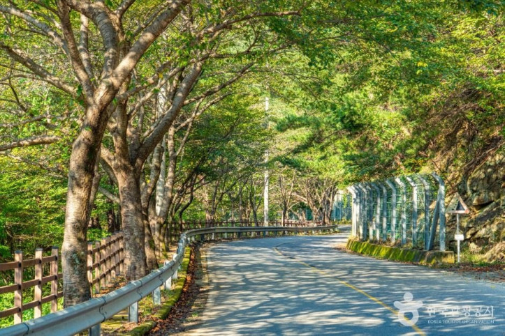 백암동천 여행 추천 - 메고지고