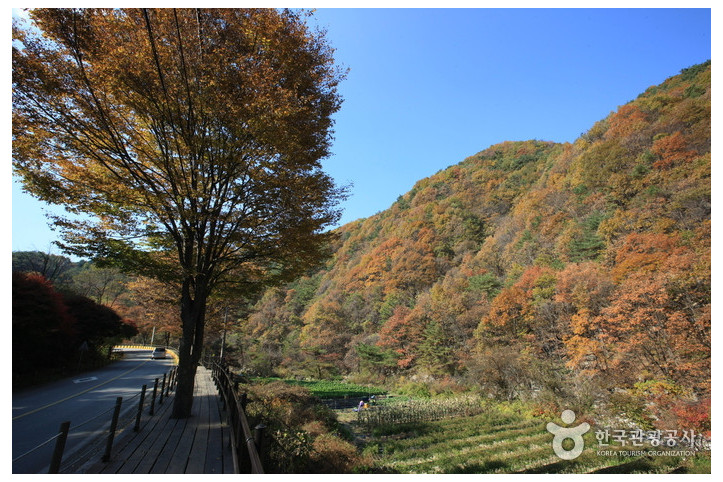 치악산국립공원 여행 추천 - 메고지고