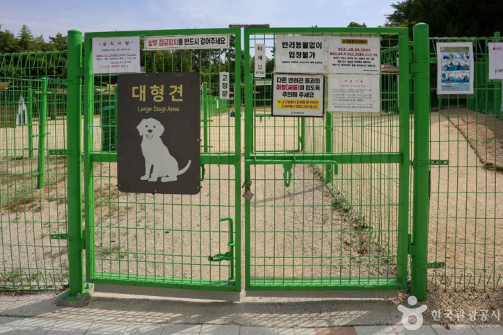 봉화재 반려견 놀이터 여행 추천 - 메고지고