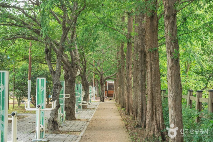 오치골공원 여행 추천 - 메고지고