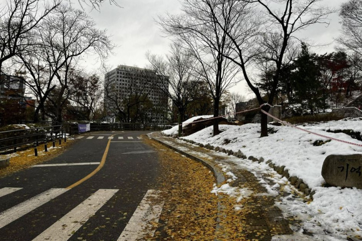남산인권숲 여행 추천 - 메고지고