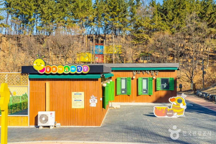 꿀벌나라테마공원 여행 추천 - 메고지고