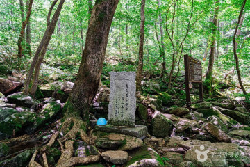 데미샘자연휴양림 여행 추천 - 메고지고