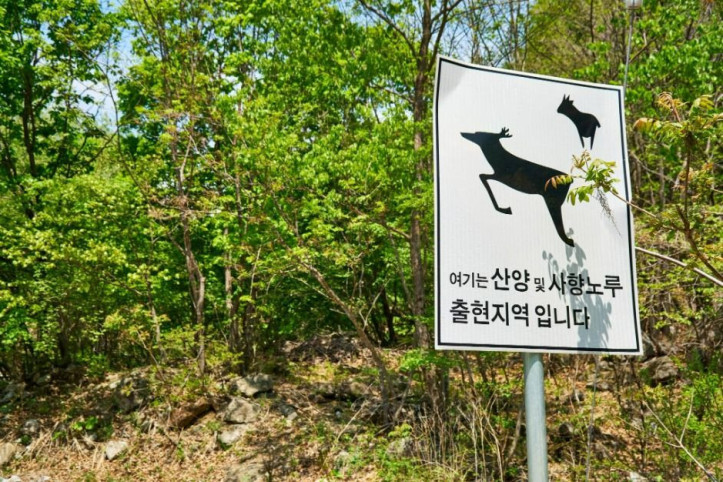 백암산 케이블카 여행 추천 - 메고지고