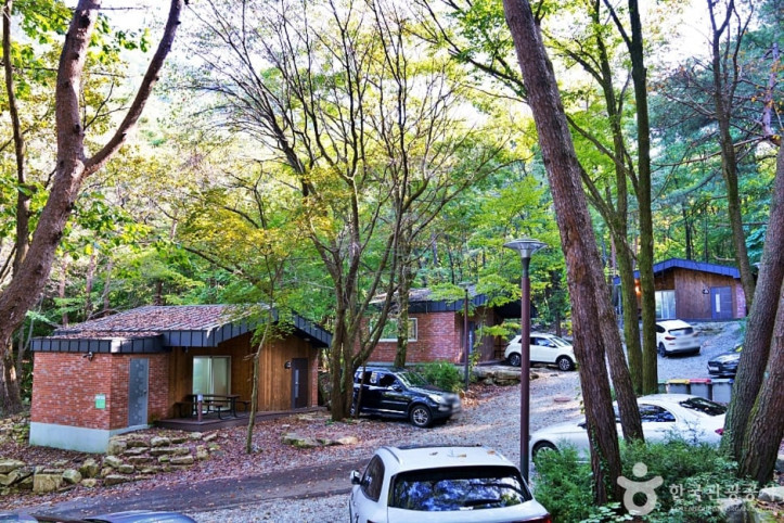 조령산자연휴양림 여행 추천 - 메고지고