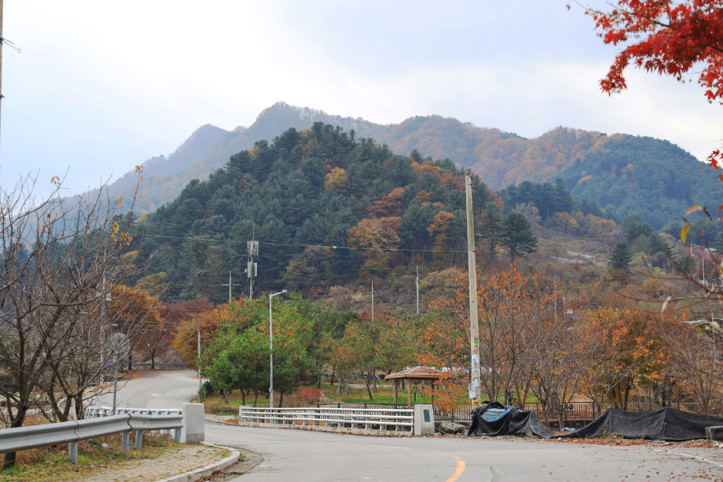 잣향기푸른마을 여행 추천 - 메고지고