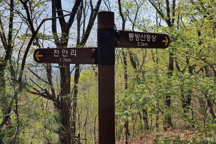 통방산 여행 추천 - 메고지고